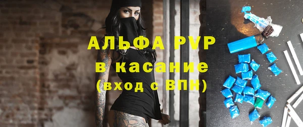 крисы Заречный