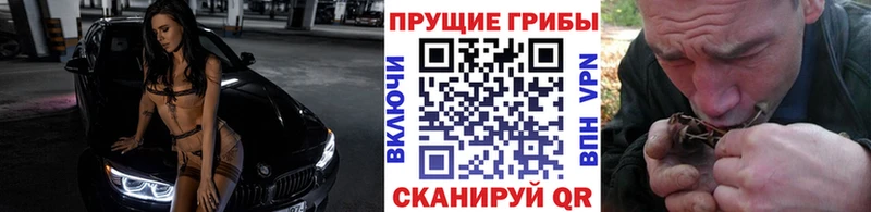 Галлюциногенные грибы Cubensis  OMG как зайти  Окуловка 